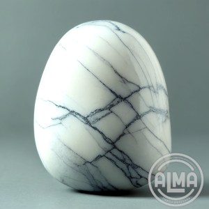 Howlita sola con logo